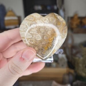 Fossilized Coral (Coral Jade) Heart Crystal Carving W/ Stand